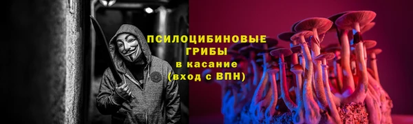 каннабис Богданович